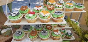 CUP CAKES
